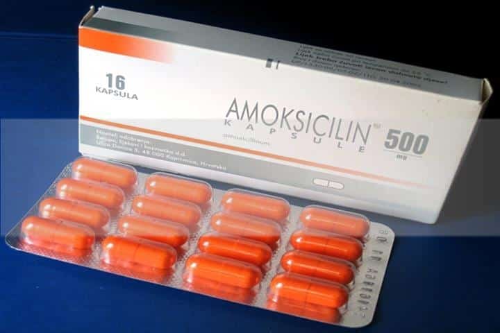 antibióticos
